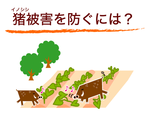 inoshishi_higai-title