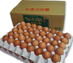 tamago80