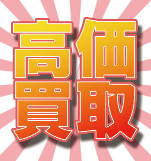 koukakaitori_13