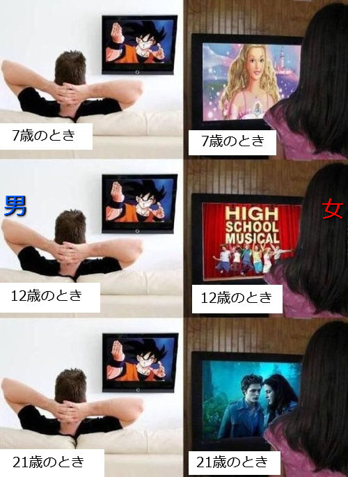 男女差 テレビ