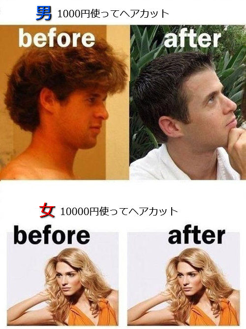 男女差 髪