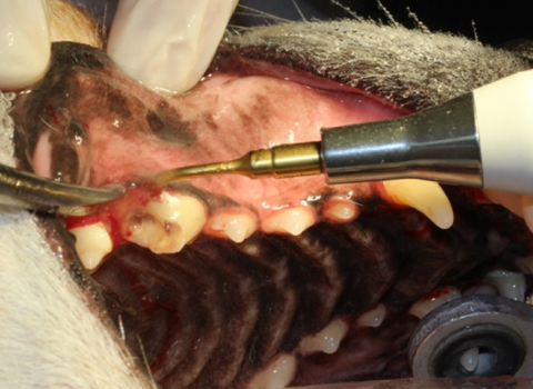 27ab2463335cdfd22a0f04ccc60f7c66-e1491551922929