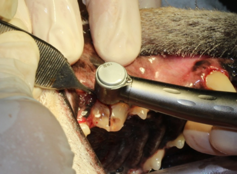 31e85d2a362e85659a857b7f76e599ad-e1491552099372