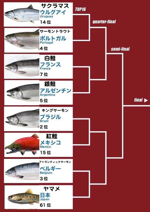 salmongarage-1013429009282097153-20180701_232759-img1