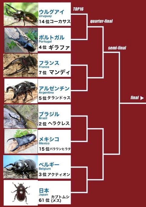 nanako_aga-1013387084684406785-20180701_204123-img1