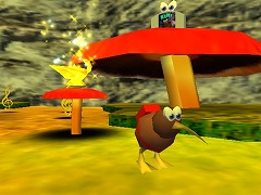 Kiwi 64