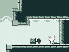 A Kitty Dream