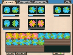 Five-Leaf Clover