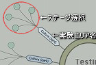 実験エリア