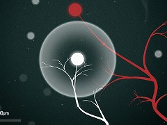 Axon
