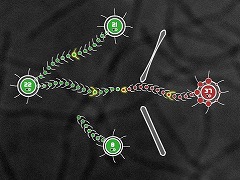 Tentacle Wars