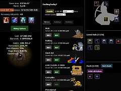 The Golden Miner