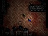 Zombie Infestation Strain 116