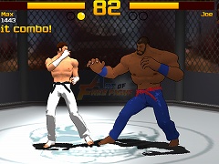 Art of Free Fight