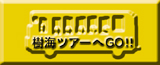 樹海ホームページ