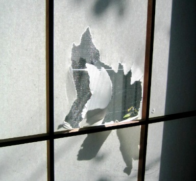 20071118_03