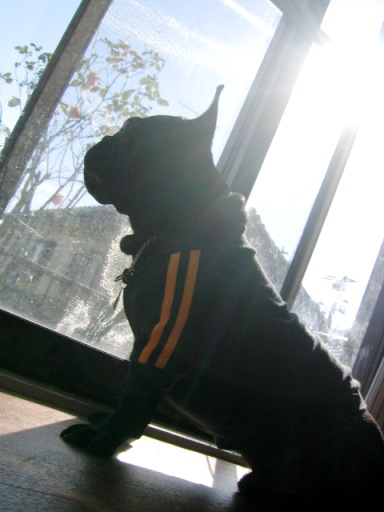 20071118_01