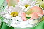 �ͣңӣ� �ɾ� ����
