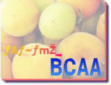 �������å� ���ߥλ� BCAA