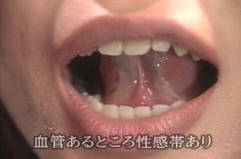 44_03_血管は性感帯
