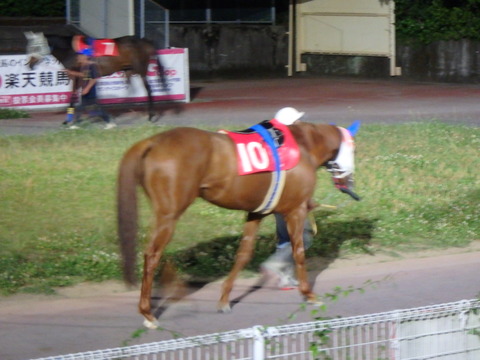 OI000254