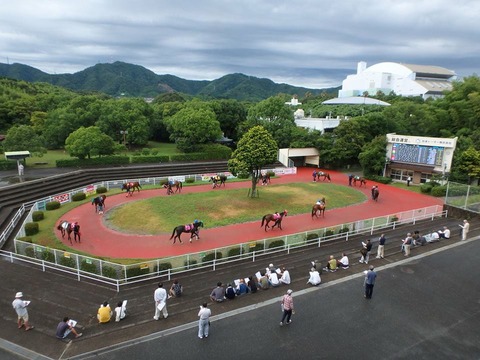 20170806 高知競馬場 第6レース