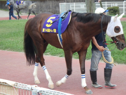 OI000283