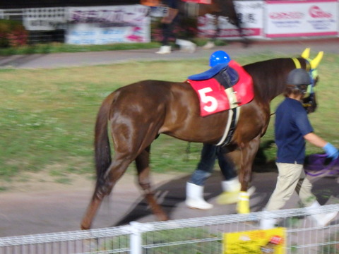 OI000252