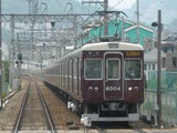 �����Ŵ6000���ż֡����ӿ��ؤˤơ�'11.05.10���ơˡ��и������껣��