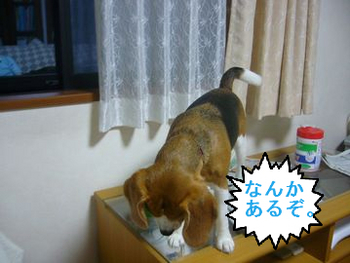 BlogPaint