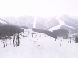 4a99d77e.jpg