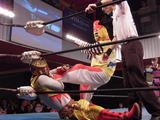 DSCN0992