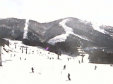 c337f64e.jpg