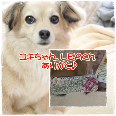プレゼント1
