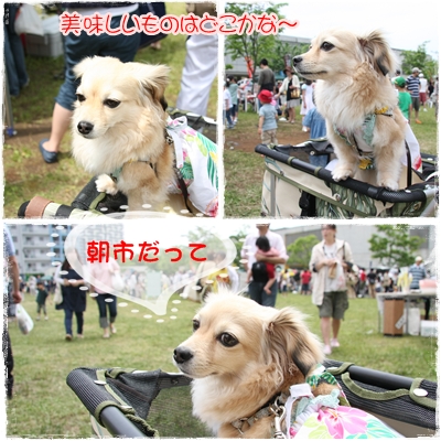 朝市1