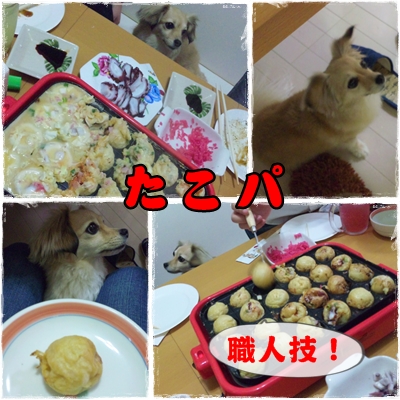 たこぱ