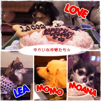 犬茶屋