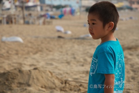 篠島ウミガメ隊_ボランティア_#seaturtle_2012-07-29 07-31-00