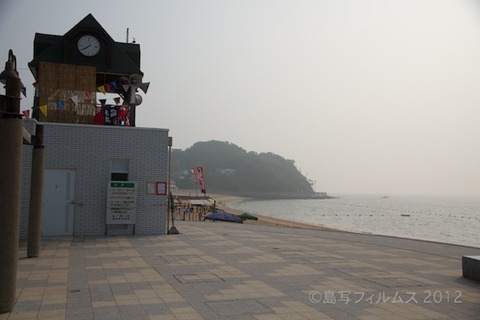 篠島ウミガメ隊_ボランティア_#seaturtle_2012-07-29 07-34-54