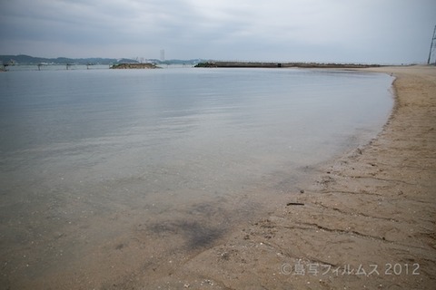 日間賀島_自転車_日間賀島音楽祭_HMK_イルカ_ 2012-05-20 13-02-01