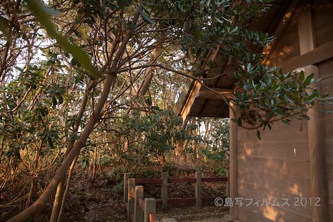 漁港_夕日_篠島_風景_海苔網_ゴルフ場_中手島_2012-02-16 16-50-27
