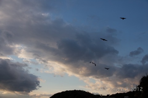 松島の夕日_ 夕陽百選_鯨浜_2012-02-09 16-39-37
