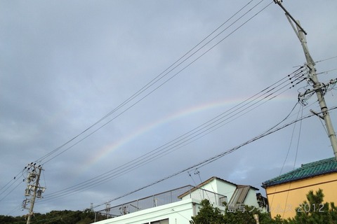 ウミガメ隊_クリーンアップ_2012-08-15 06-12-05