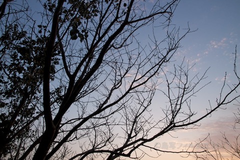 篠島_松島の夕日_ 夕陽百選_鯨浜_2012-02-10 17-19-18