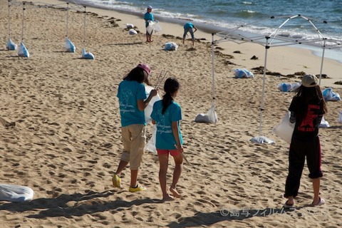 ウミガメ隊_クリーンアップ_2012-08-19 07-37-12