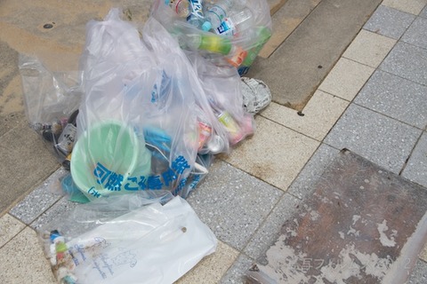 ウミガメ隊_クリーンアップ_2012-08-15 11-48-32