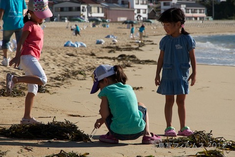 ウミガメ隊_クリーンアップ_2012-08-19 07-39-00