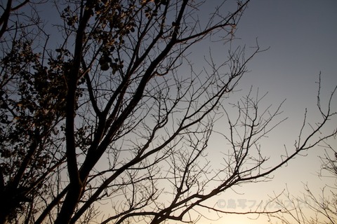篠島_松島の夕日_ 夕陽百選_鯨浜_2012-02-10 16-45-28