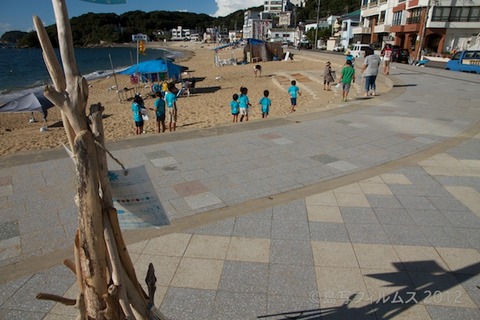 ウミガメ隊_クリーンアップ_2012-08-19 07-32-55
