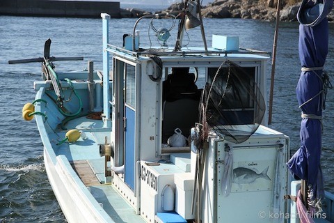 名鉄_アオリイカ_漁港_篠島_風景_観光_2011-09-27 14-50-47